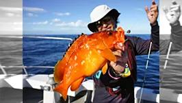 Rock'n Fish No.27 山口見島”こだまでしょうか？”ロックゲーム