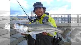 Salt Dreamer 28 青森県十三湖シーバス 釣りビジョン