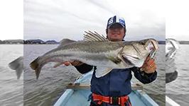 Seabass Journey 10 島根県 宍道湖 釣りビジョン