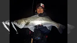 Seabass Journey 11 鹿児島県・肝属川