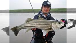Seabass Journey 13 新潟県・佐渡島