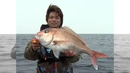 BinBinソルト