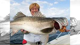 オレたちゃシーバス研究所 14 九頭竜川河口エリア 春ベイトパターン大調査！