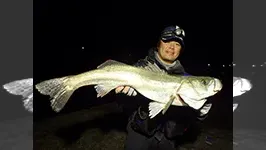 Seabass Journey 18 青森県・竜飛崎