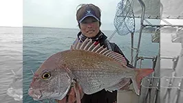 BinBinソルト 30 春爛漫！愛媛県松山で気難しいノッコミマダイに挑む