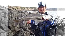 Seabass Journey 19 山口県・下関