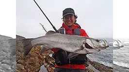 SALT Dreamer 56 長崎県・福江島 ヒラスズキ