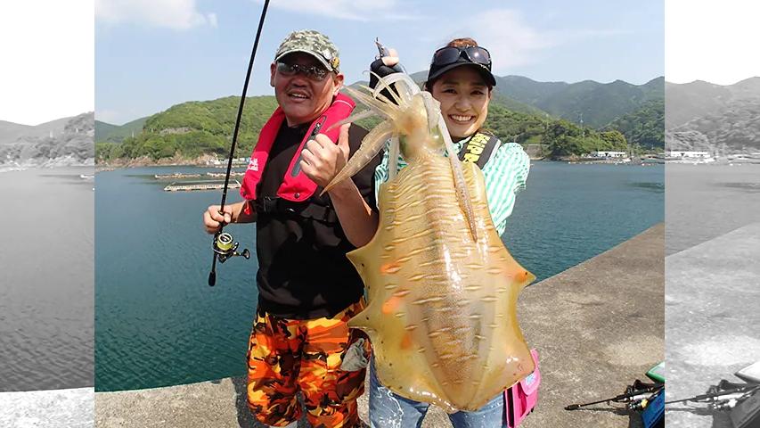 とことんエギパラダイス 105 高知県大月町の旅 オカッパリで春のデカイカ大捜索なり 釣りビジョン