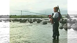オレたちゃシーバス研究所 21 真夏の遡上シーバス大研究