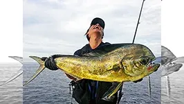 メタルバスター ROUND4 VS 相模湾・駿河湾のシイラ