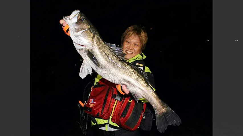 オレたちゃシーバス研究所 23 広島県小規模河川エリア 流れに潜む巨大シーバス攻略！