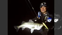 Seabass Journey 22 三重県・木曽三川