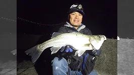 Seabass Journey 23 山口県・関門海峡