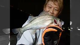 オレたちゃシーバス研究所 26 兵庫県神戸湾岸エリア 春のバチ抜け！？初夏のベイト！？こうなりゃなんでもありだ！