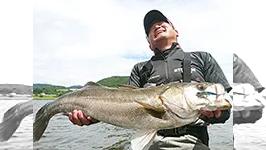 RUN＆GUN SALT MIYAGI DAY RIVER SEABASS