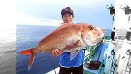 BinBinソルト 36 「静岡県御前崎 初エリアでBinBin大鯛攻略！」