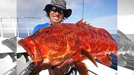 Rock'n Fish No.52 薩摩硫黄島ロックゲーム