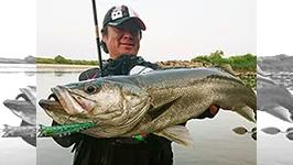 Seabass Journey 28 山形県・最上川