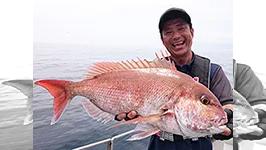 ソルトギャラリー 5 鹿児島県・志布志湾 ライトジギング