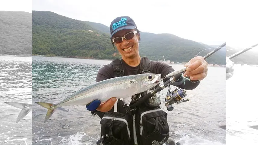 メタルバスター ROUND12 VS相模湾＆駿河湾の小型回遊魚