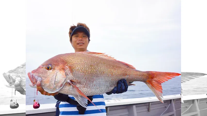BinBinソルト 40「日本海初鯛カブラ 目指せディープの大鯛突破！」