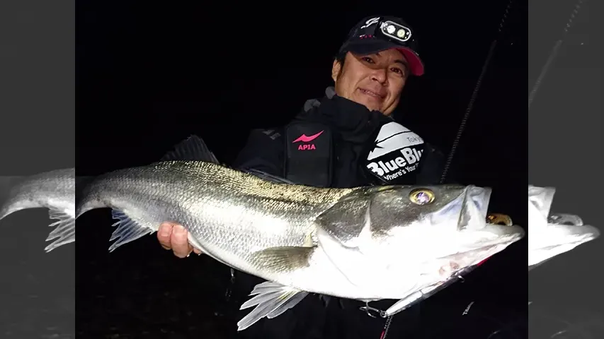 Seabass Journey