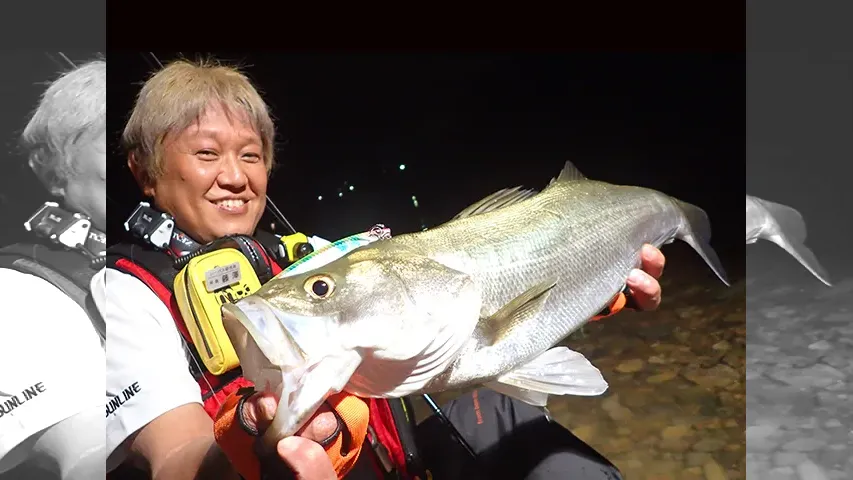 オレたちゃシーバス研究所 34 近場の関西超有名河川エリア 研究所待望の増水パターンで連発！？