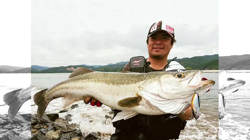 Seabass Journey