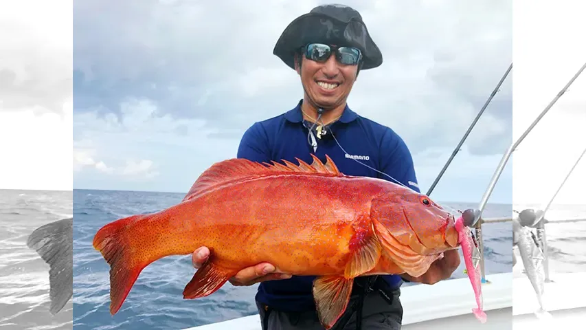 Rock'n Fish