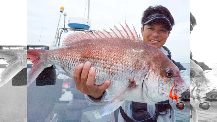 Binbinソルト 44 まさかまさかの東京湾 秋のビンビン極上真鯛 釣りビジョン