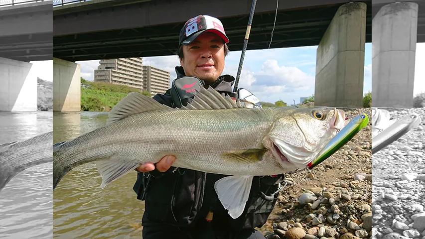 Seabass Journey 1 富山県 常願寺川 神通川 釣りビジョン