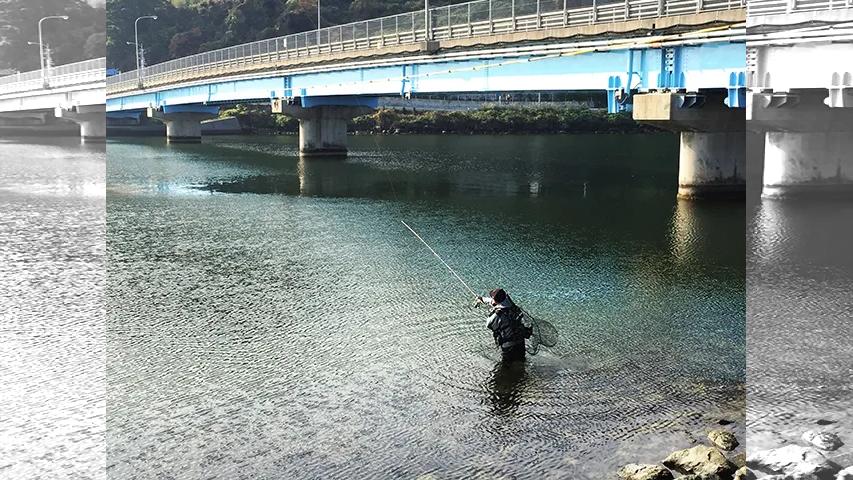 Dz Salt Case112 島根県中海エリア 真冬のランカーシーバスリベンジ 釣りビジョン