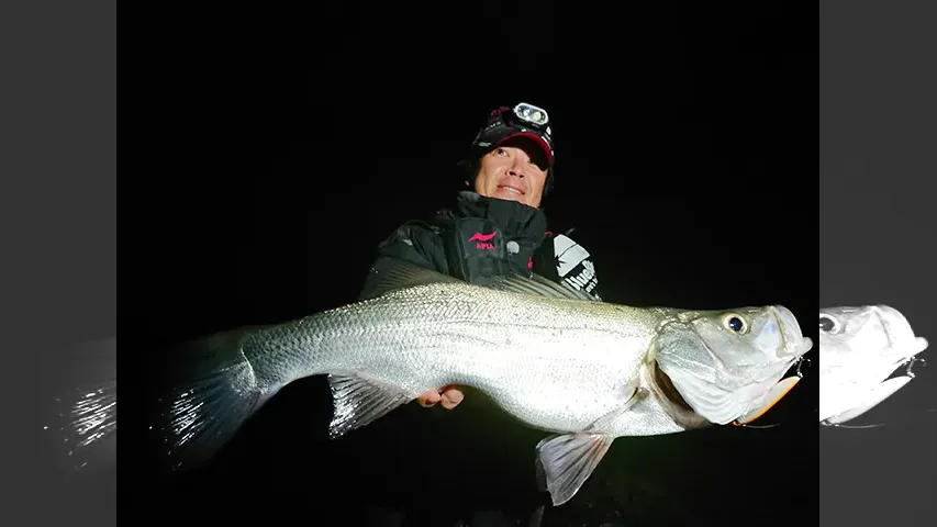 Seabass Journey