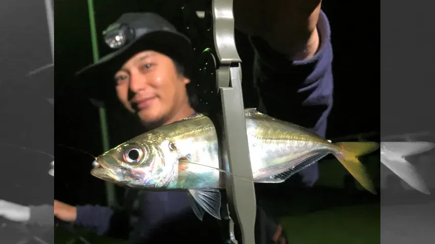 Azing Lab.2nd 48 梅雨でもやっぱりアジング＆キャンプ