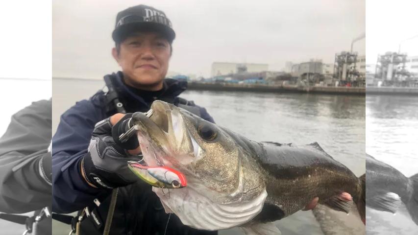 Salty Tribe ミッション2 多摩川河口域のウェーディングゲーム 釣りビジョン