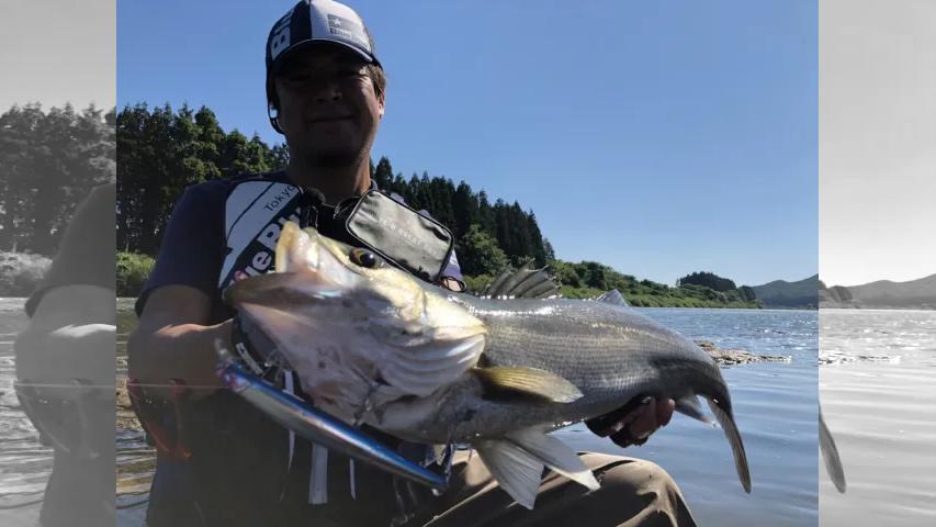 Seabass Journey