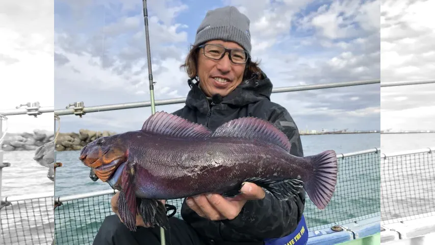Rock'n Fish No.71 北海道釧路ロックゲーム