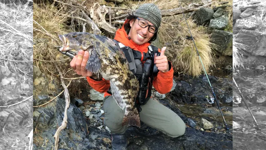 Rock'n Fish