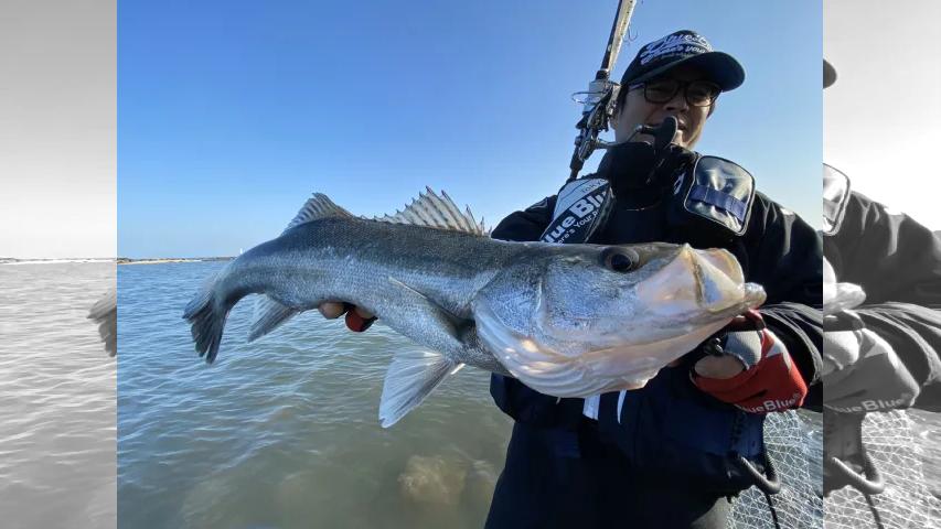 Seabass Journey 38 長崎県諫早市 釣りビジョン