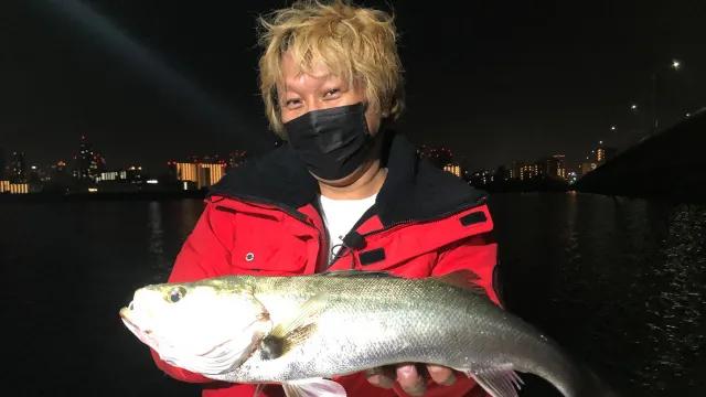 やっぱりシー研 海洋生物研究所 9 秋の大阪湾 ボートシーバス調査 釣りビジョン
