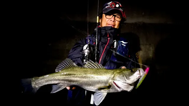 Seabass Journey