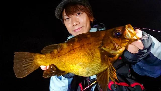 Dz Salt 2nd No 6 大分県臼杵湾 メバリング 釣りビジョン