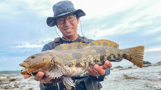 Rock'n Fish