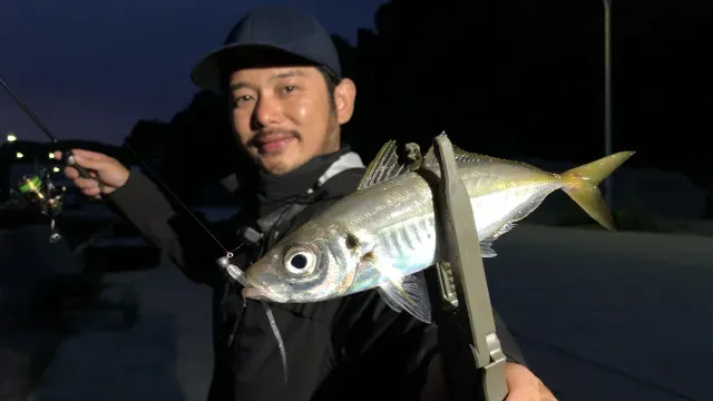 Azing Lab.2nd 66 大博打！初夏のデカアジ知夫里島攻略