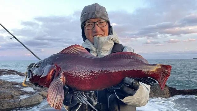 Rock'n Fish