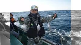 東北魚王 宮城沖・大型魚礁周りのカレイ釣り