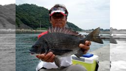 チヌ道一直線 其の四十三　岡山県・下津井の紀州釣り。小型中心の夏季に年なしを求める！