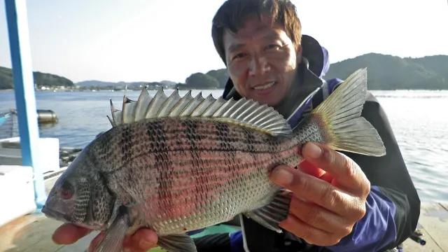 チヌ道一直線 其の五十七　迫間浦の激闘！エサ取りの猛攻をかわし良型チヌを求める！