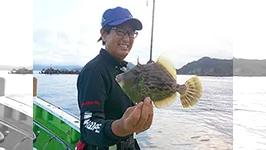 沖釣りギャラリー 千葉県勝山沖 シーズン初期のカワハギ釣り