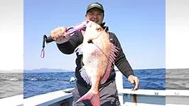 沖釣りギャラリー 「舞鶴沖のマダイ」